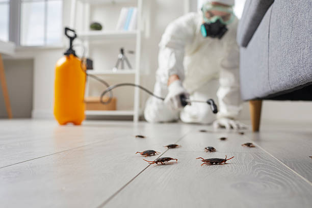 Trusted Fumigation Services service in Hoquiam, WA - Nex Pest Control